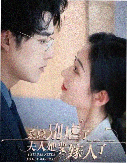 南方来客 剧集在线观看高清完整版